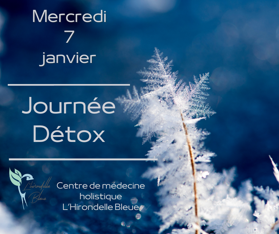 Journée Détox d’Hiver – L’Hirondelle Bleue